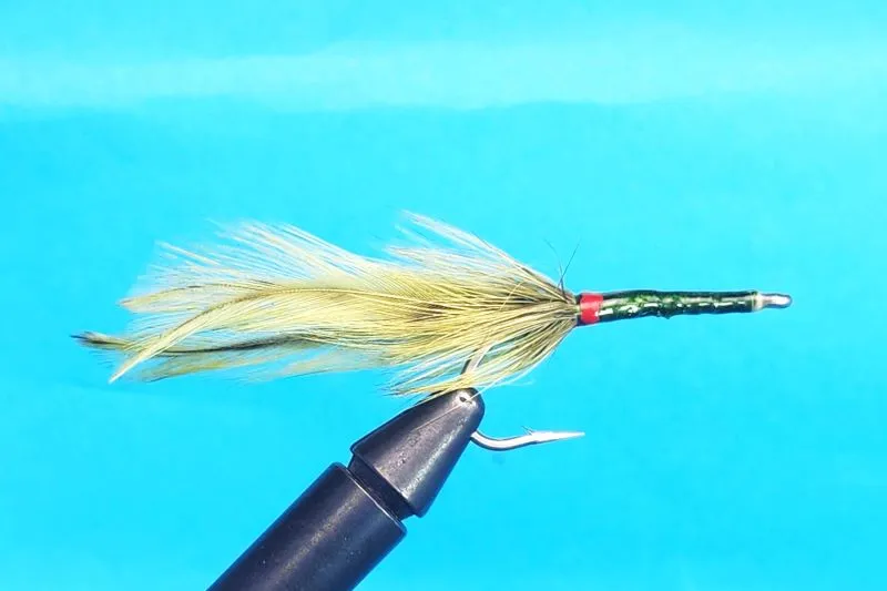Big Y Tarpon Olive